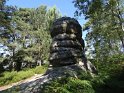 2014-07-03 10-26-41 Rando foret de Nemours DLe